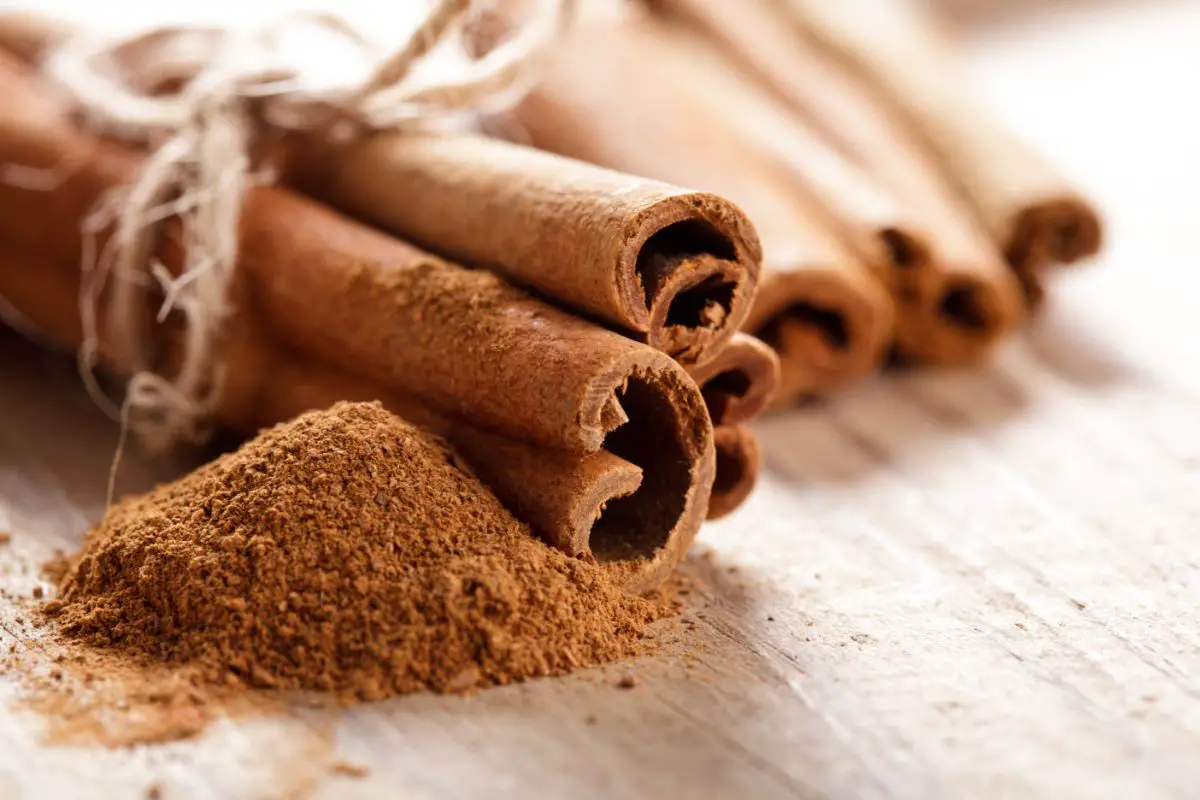 The 6 Best Substitutes For Ground Cinnamon