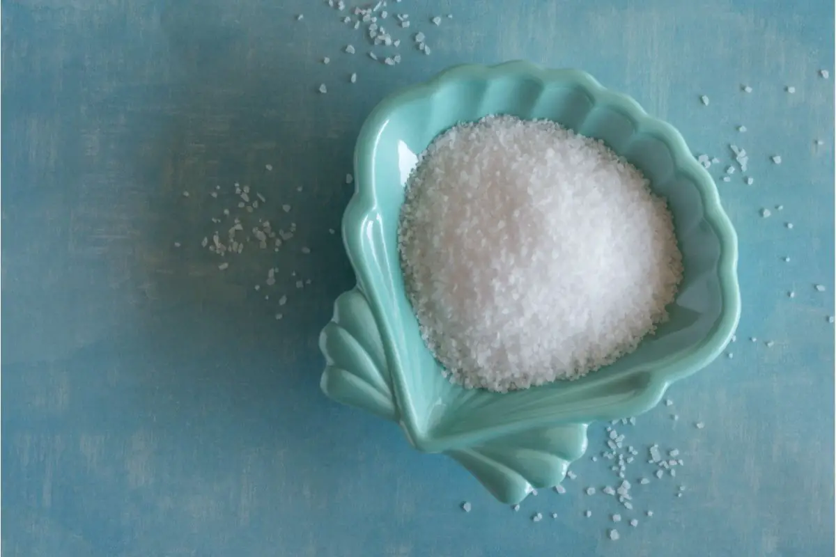The 6 Best Substitutes For Kosher Salt