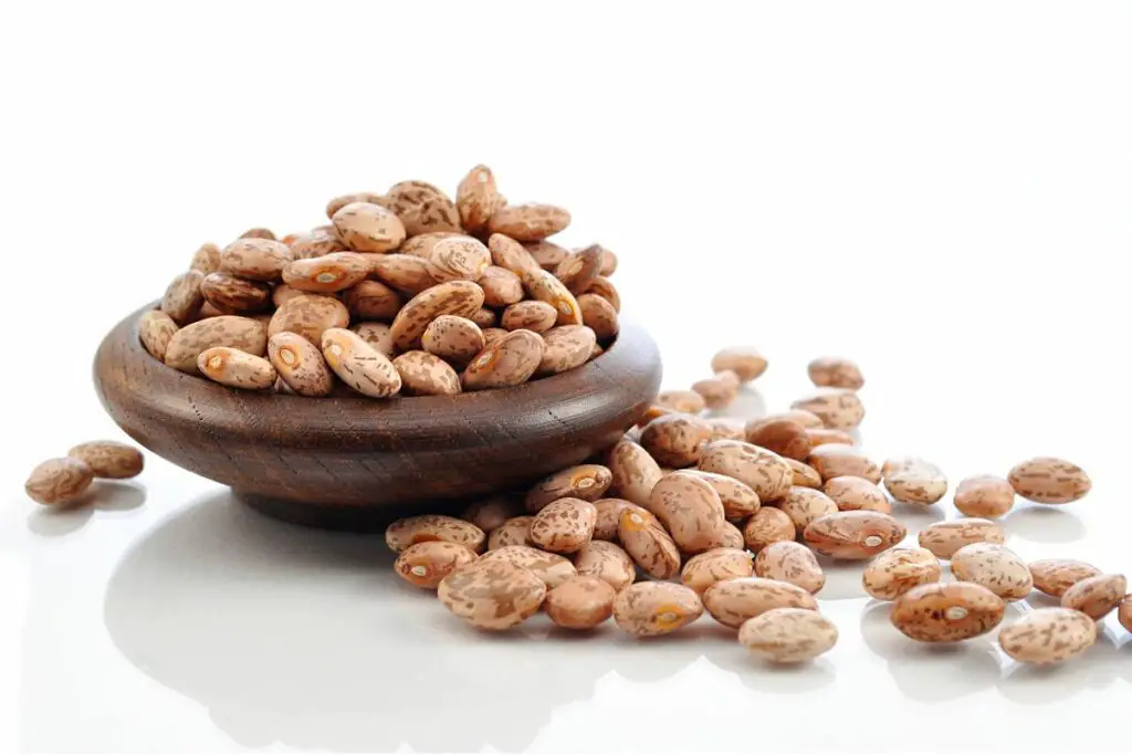 The 6 Best Substitutes For Pinto Beans Butter And Salt Gatherings