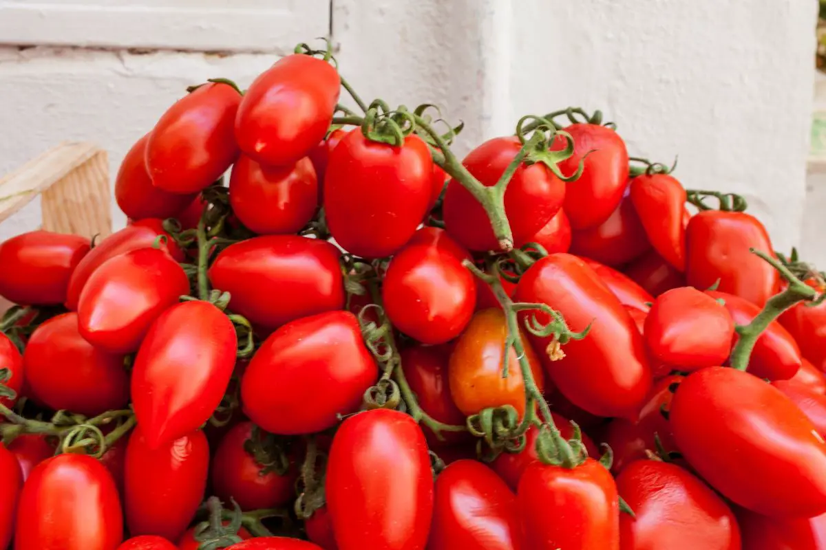The 6 Best Substitutes For San Marzano Tomatoes