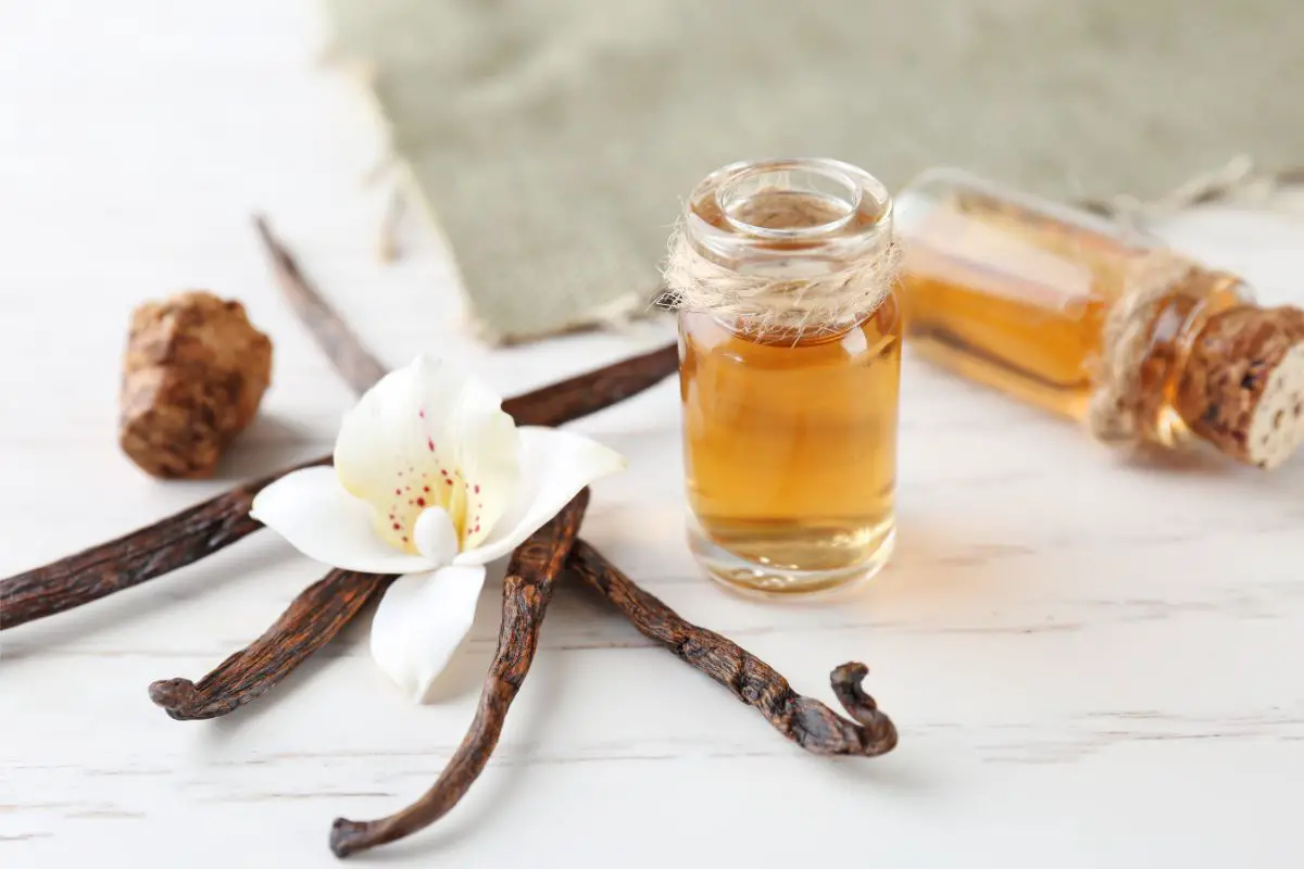 The 6 Best Substitutes For Vanilla Extract