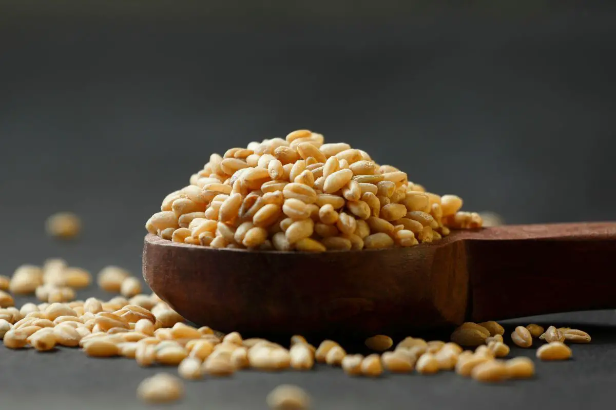 The 6 Best Substitutes For Wheat Berries