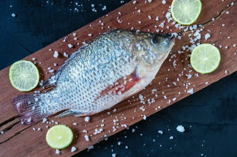 The 6 Best Tilapia Substitutes To Try Today