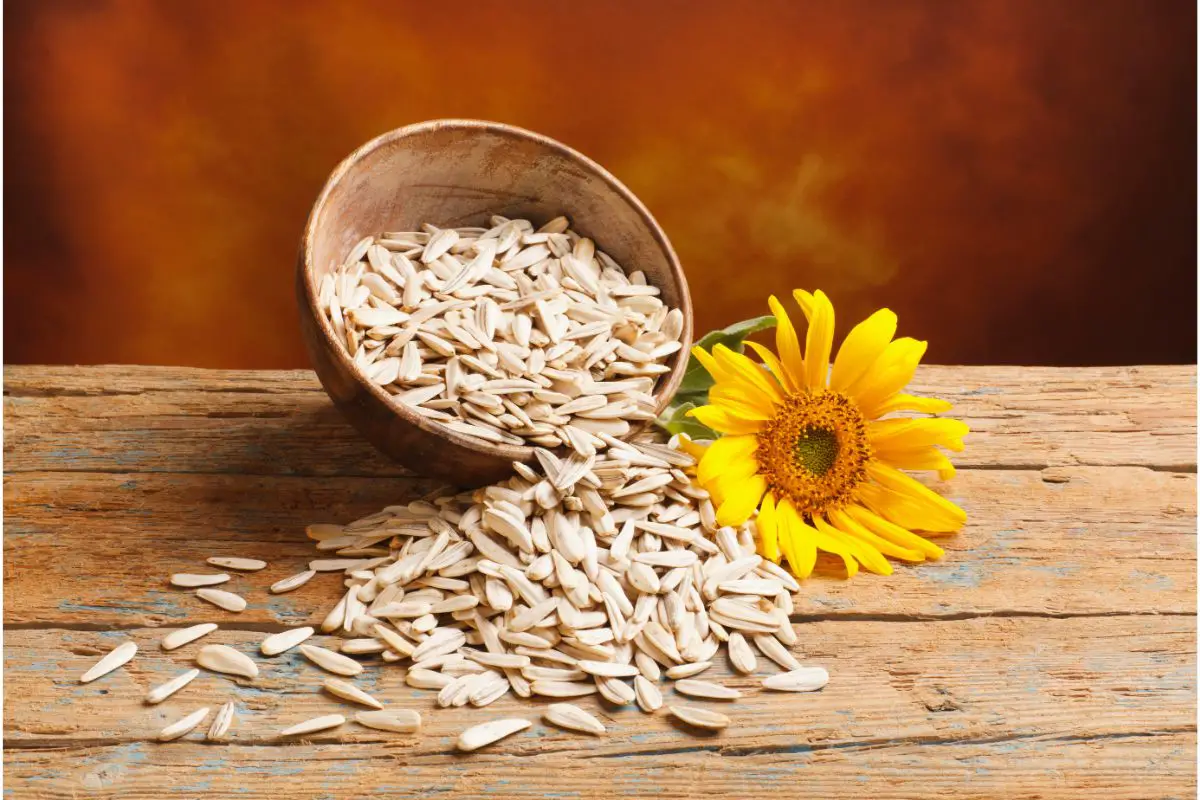 The 6 Best Wheat Germ Substitutes (5)