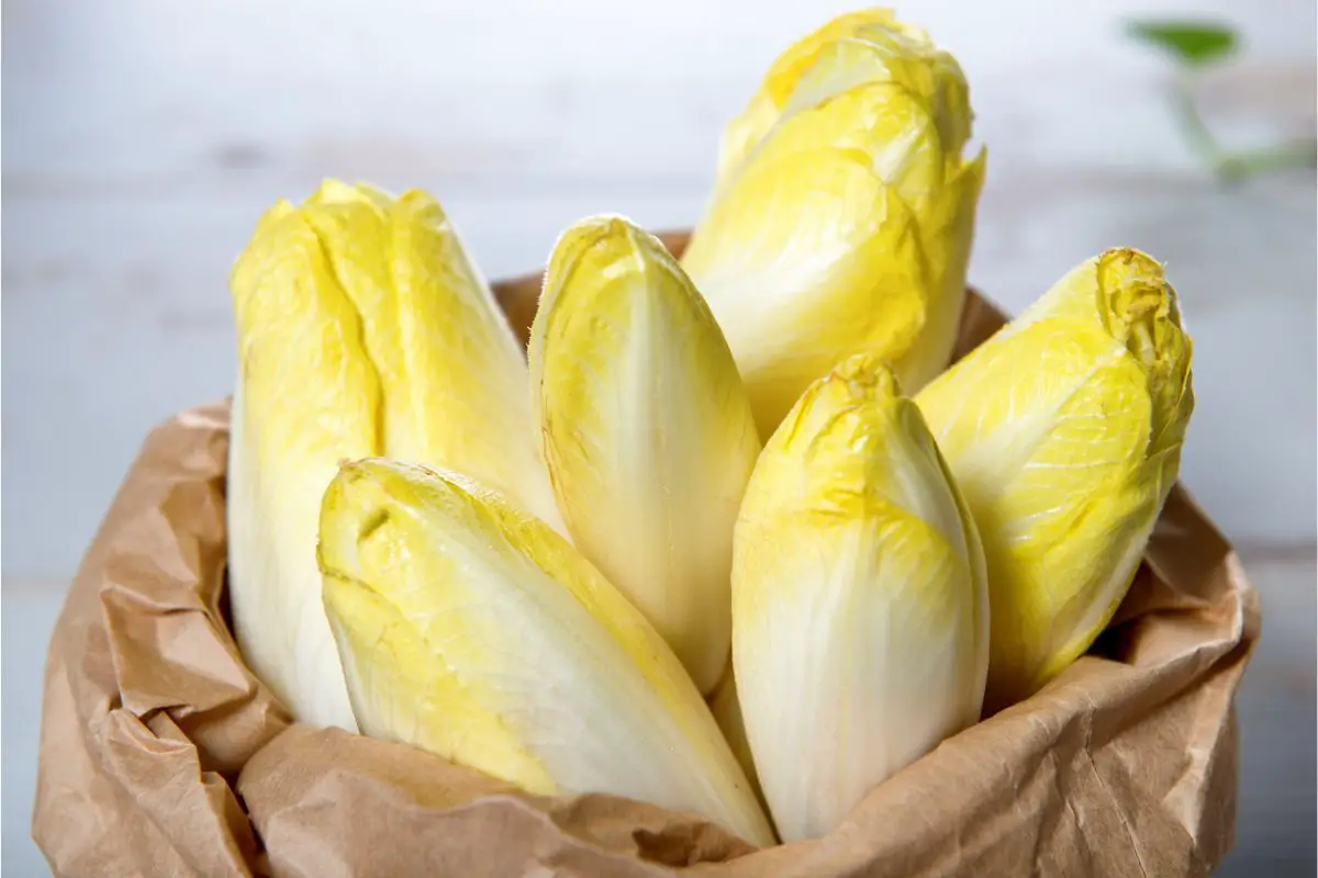 Top 6 Endive Substitutes