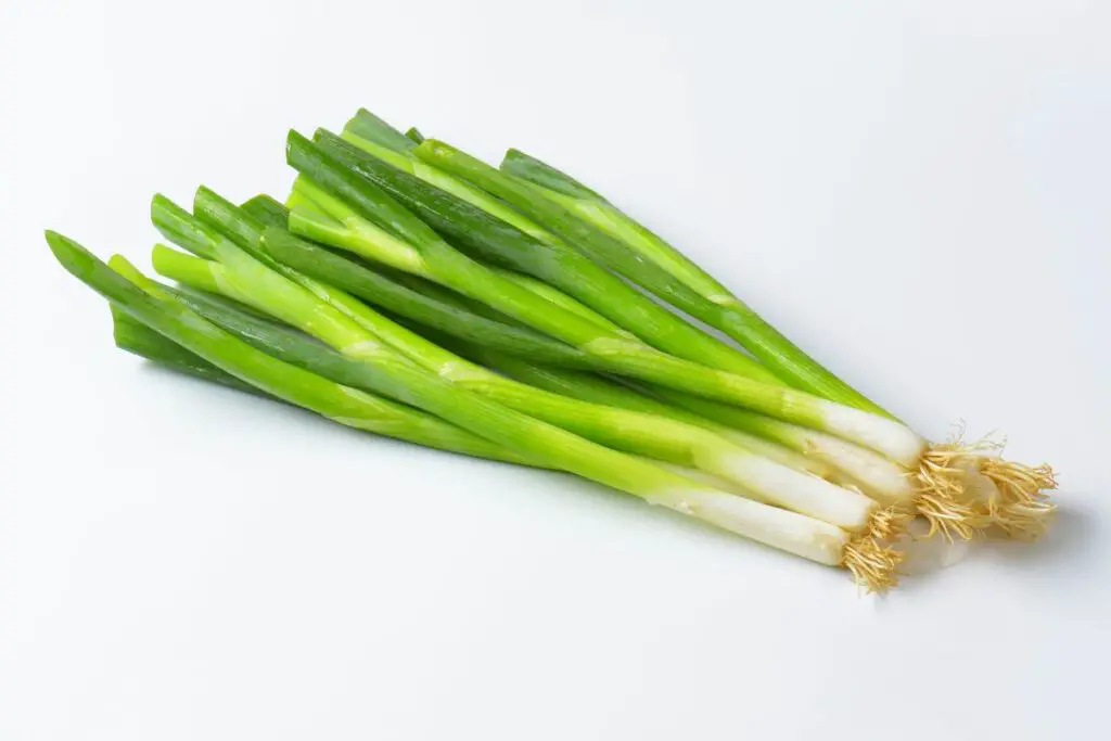 top-6-substitutes-for-spring-onions-butter-and-salt-gatherings