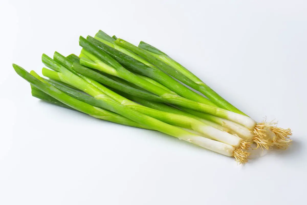 Top 6 Substitutes For Spring Onions