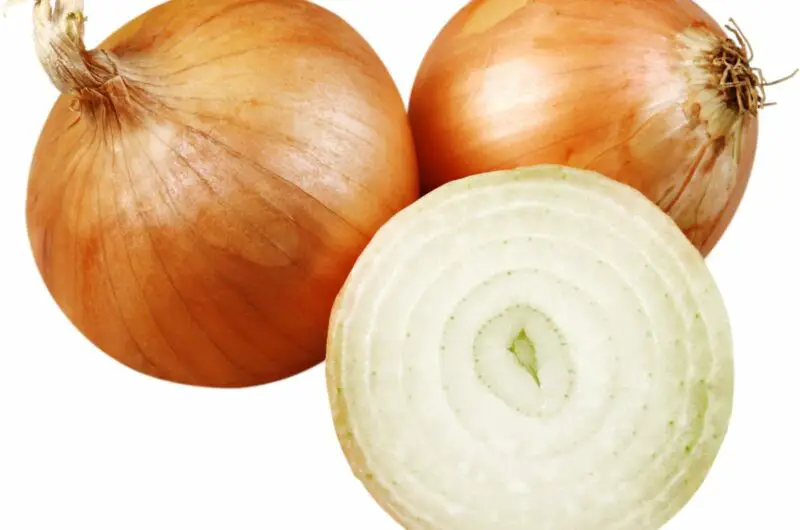 Vidalia Onions Substitutes: The Top 6 Options