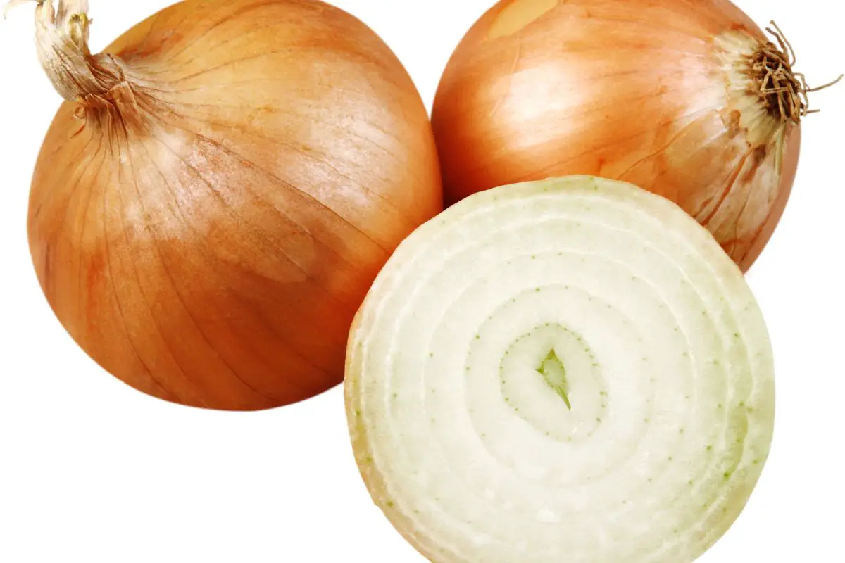 Vidalia Onions Substitutes The Top 6 Options