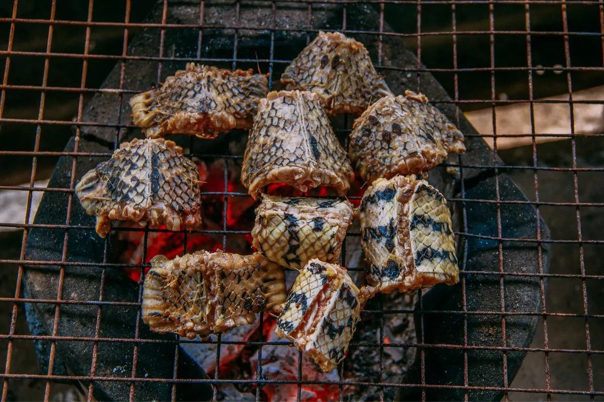 What Does Snake Meat Taste Like?