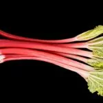 6 Best Rhubarb Substitutes