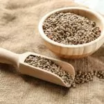 6 Nutty And Delicious Hempseed Substitutes To Try Today