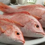The 4 Tastiest Substitutes For Red Snapper