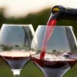The 6 Best Substitutes For Burgundy Wine