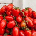 The 6 Best Substitutes For San Marzano Tomatoes